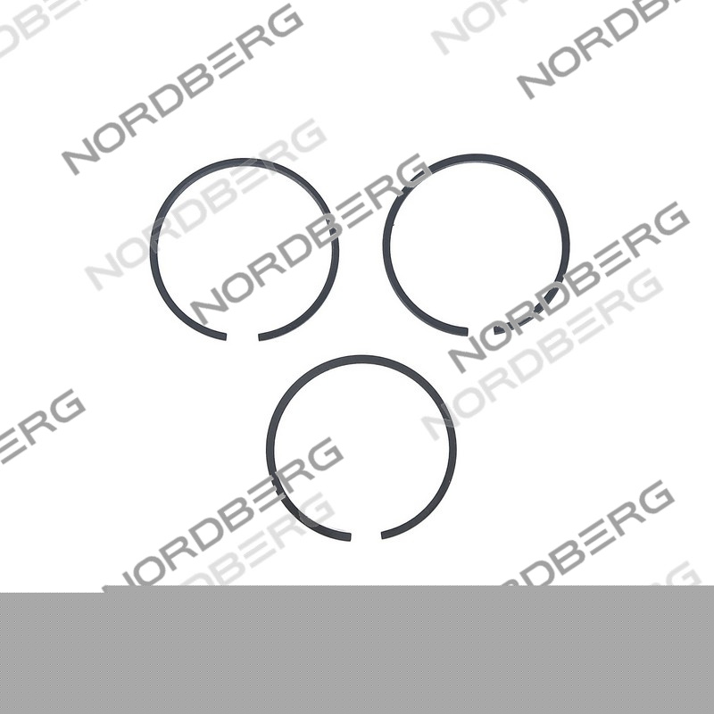 Комплект поршневых колец D55 для NCP100/360A