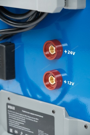 Пуско-зарядное интеллектуальное устройство 12/24 В, 250 A