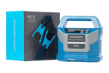 Зарядное интеллектуальное устройство 12/24 В, 15 A